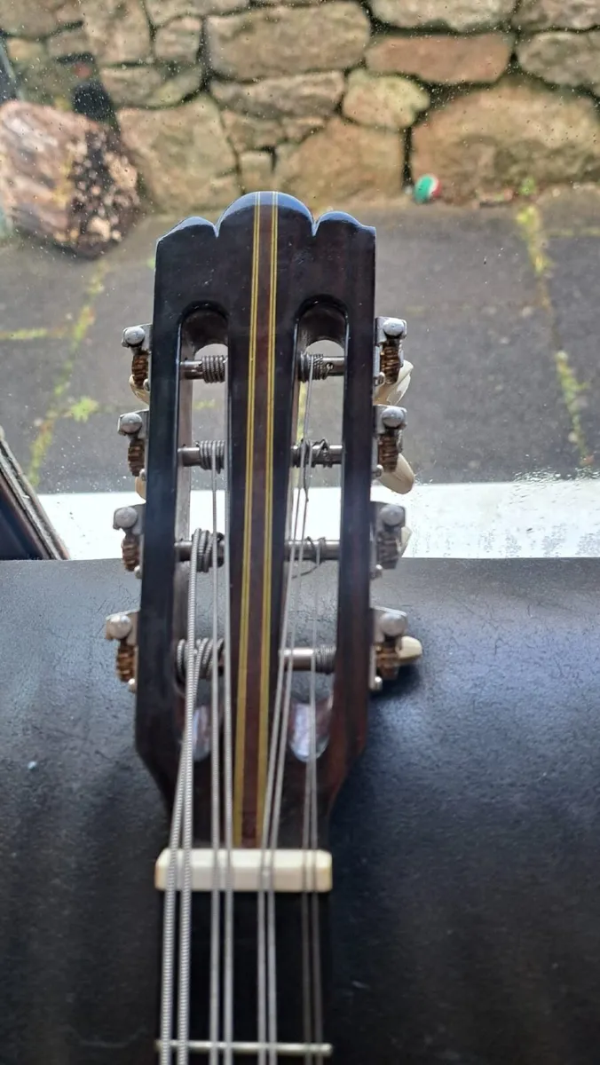 Mandocello and Hoyer Mandolin - Image 4