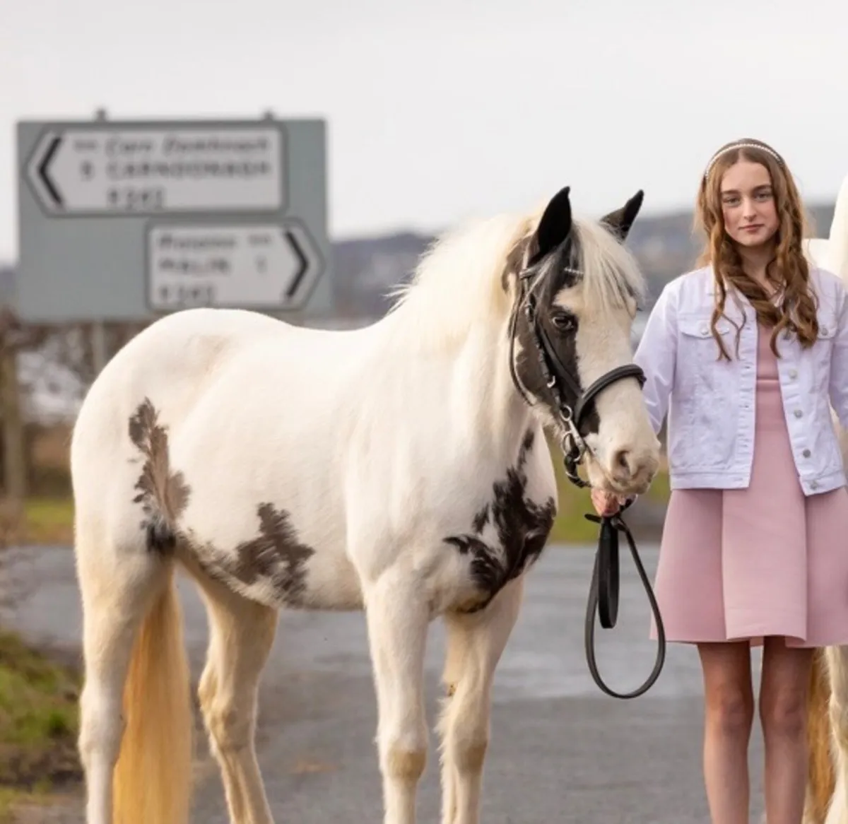 ⭐️ Daisy Doddles ⭐️ - Image 3