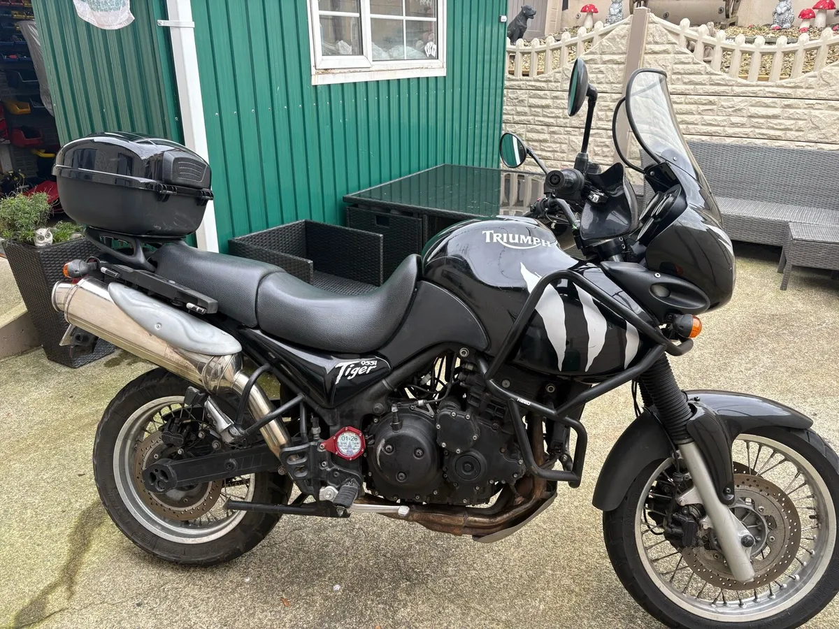 Triumph tiger - Image 1