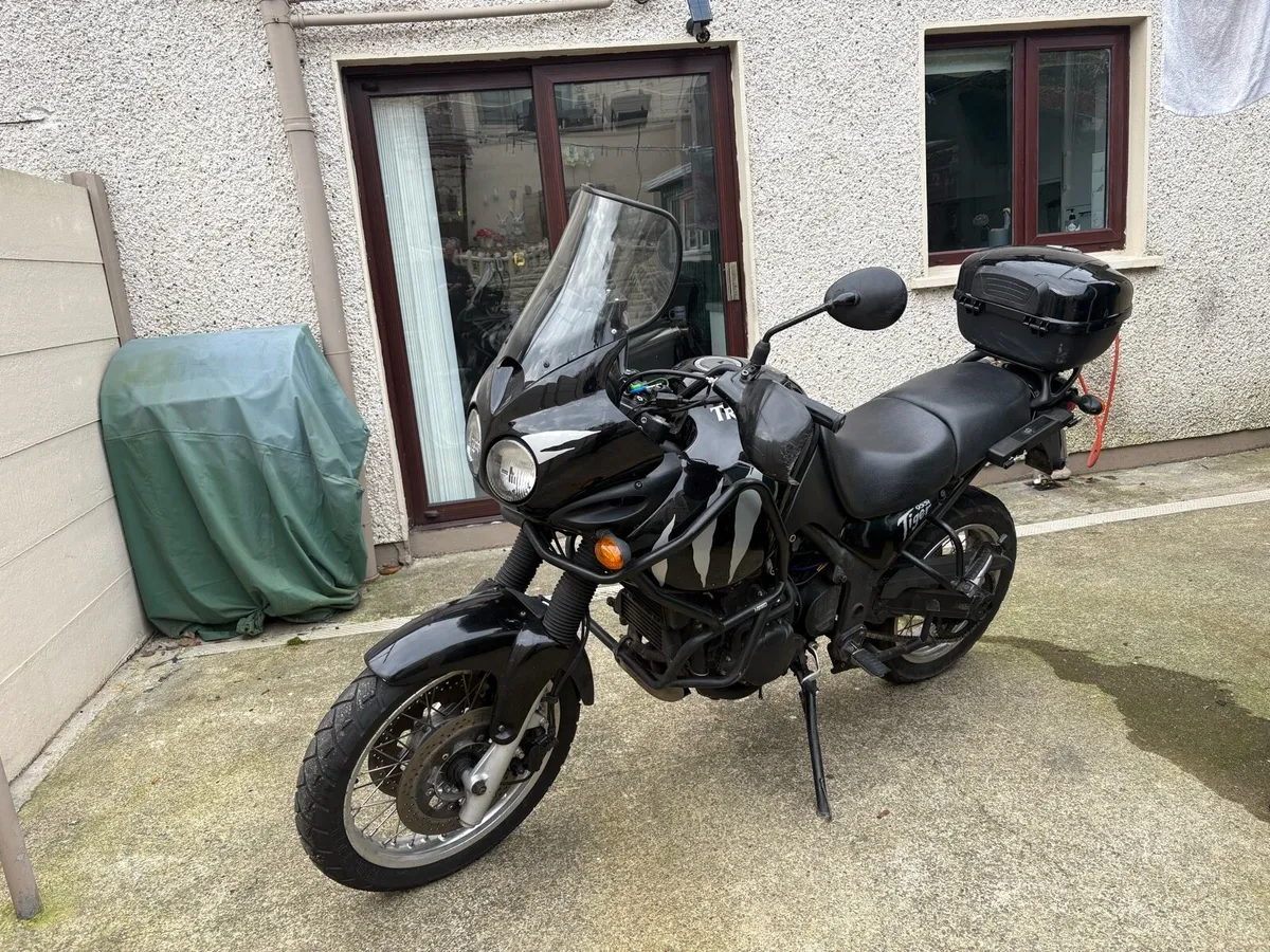 Triumph tiger - Image 3
