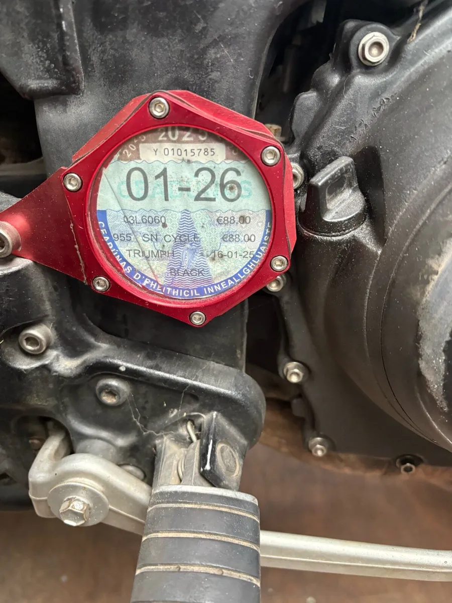 Triumph tiger - Image 4