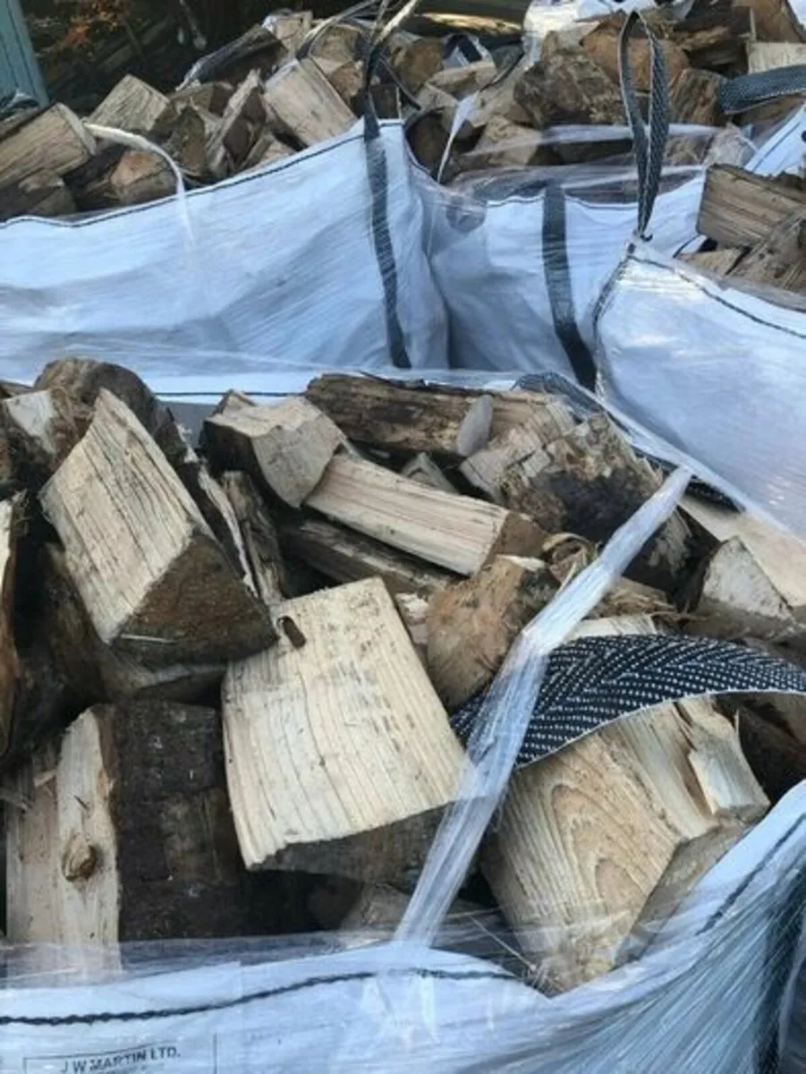 Softwood firewood - Image 1