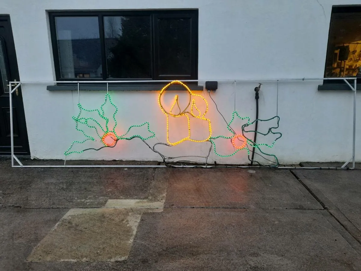 Outdoor Christmas lights - Image 2
