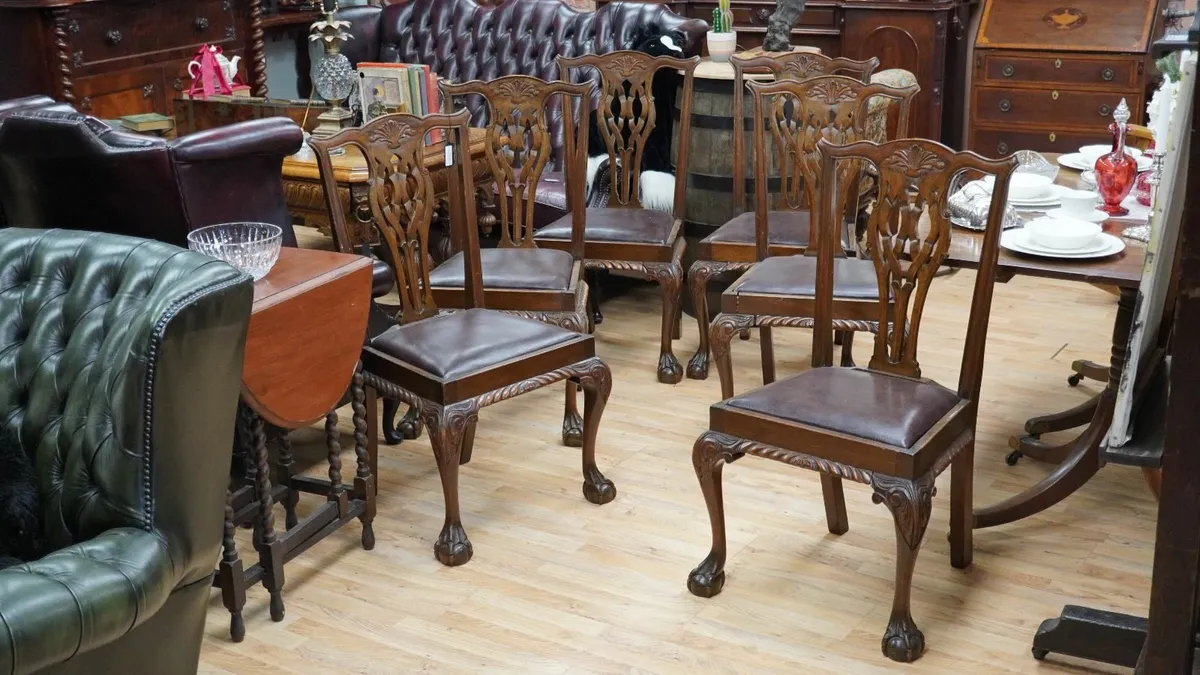 Edwardian Chippendale-Style Beech Dining Chairs - Image 1