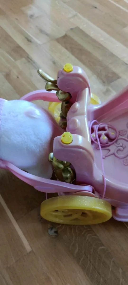 Baby born horse and carriage - Image 4