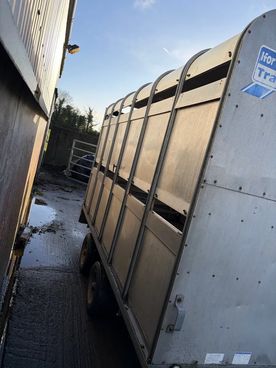 Ifor Williams 12x6,6 - Image 3