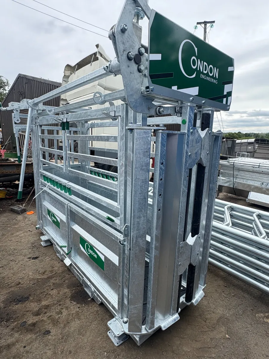 New Condon supreme warrior crush box - Image 1