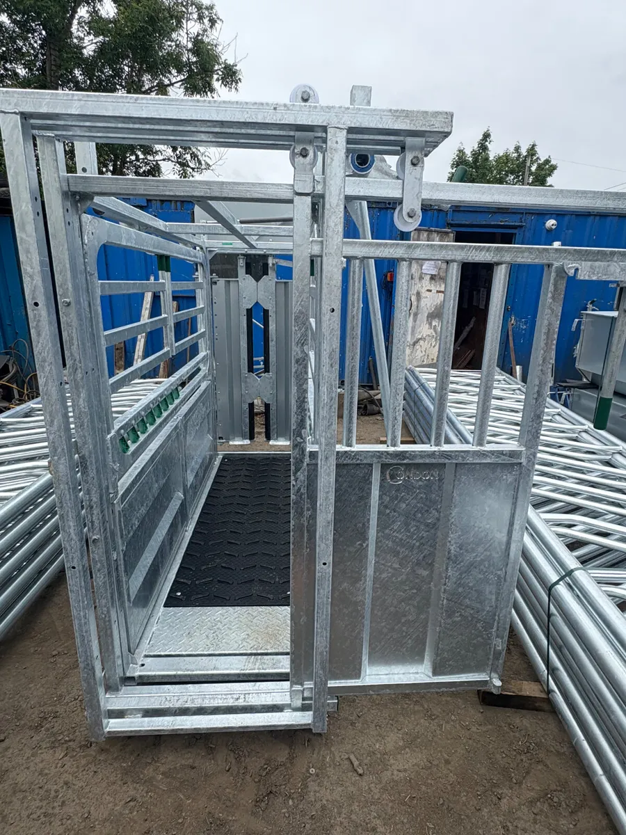 New Condon supreme warrior crush box - Image 2