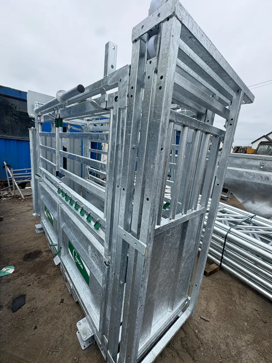 New Condon supreme warrior crush box - Image 3