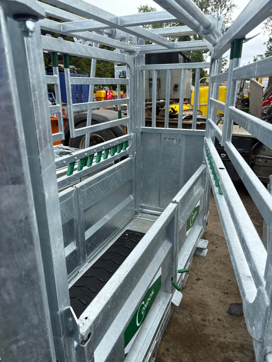 New Condon supreme warrior crush box - Image 4