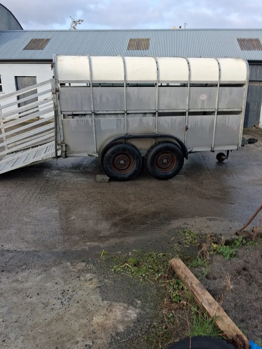 Nugent Trailer - Image 1