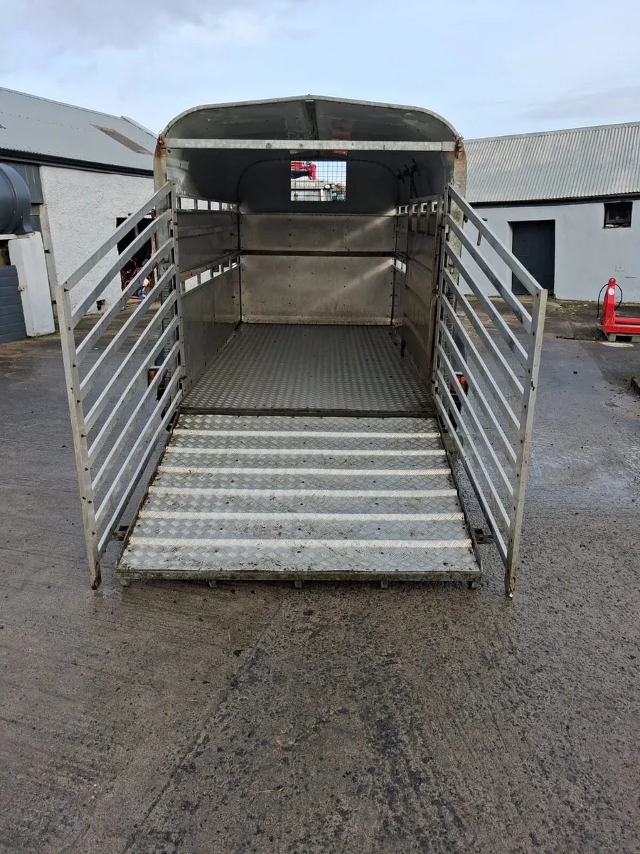 Nugent Trailer - Image 3