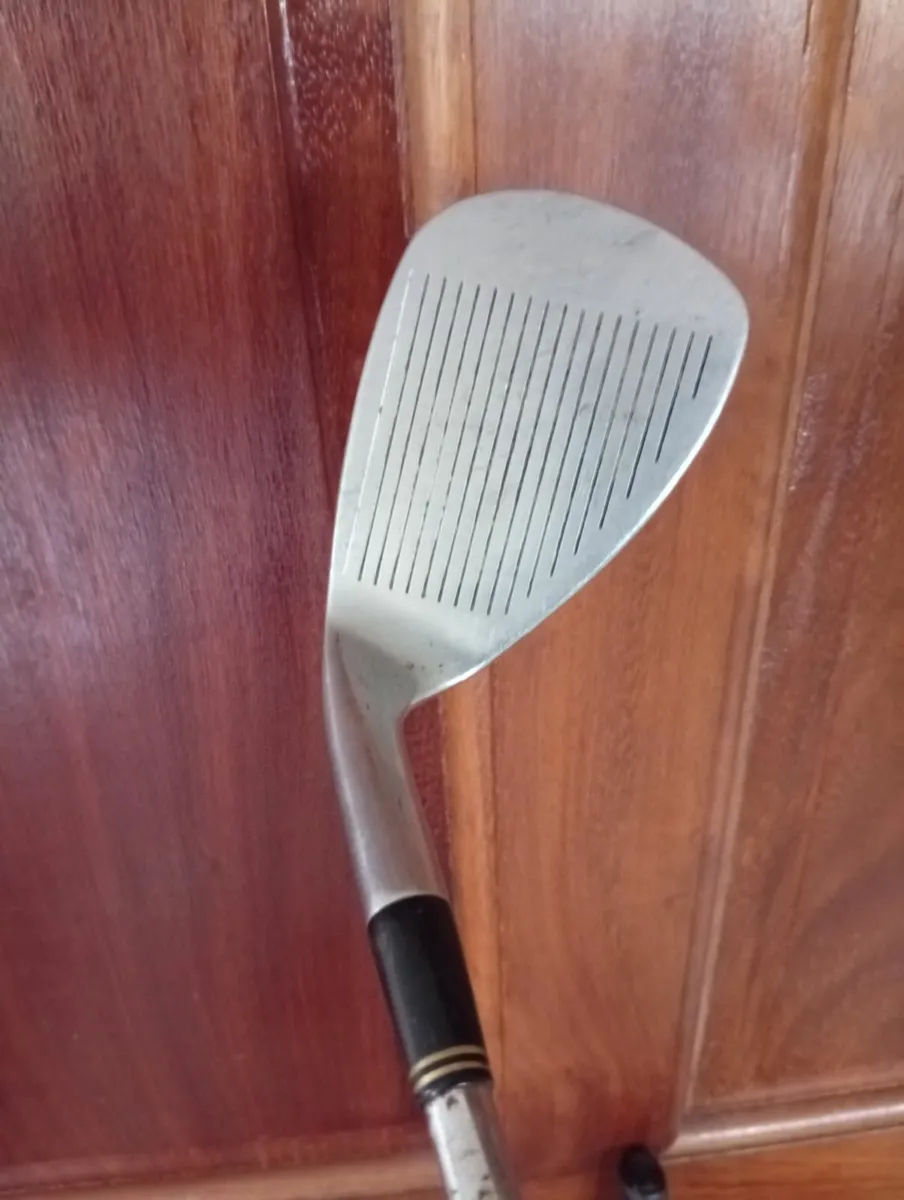 Pitch + Putt Set - Mizuno & Wilson & Balls /Tees - Image 4