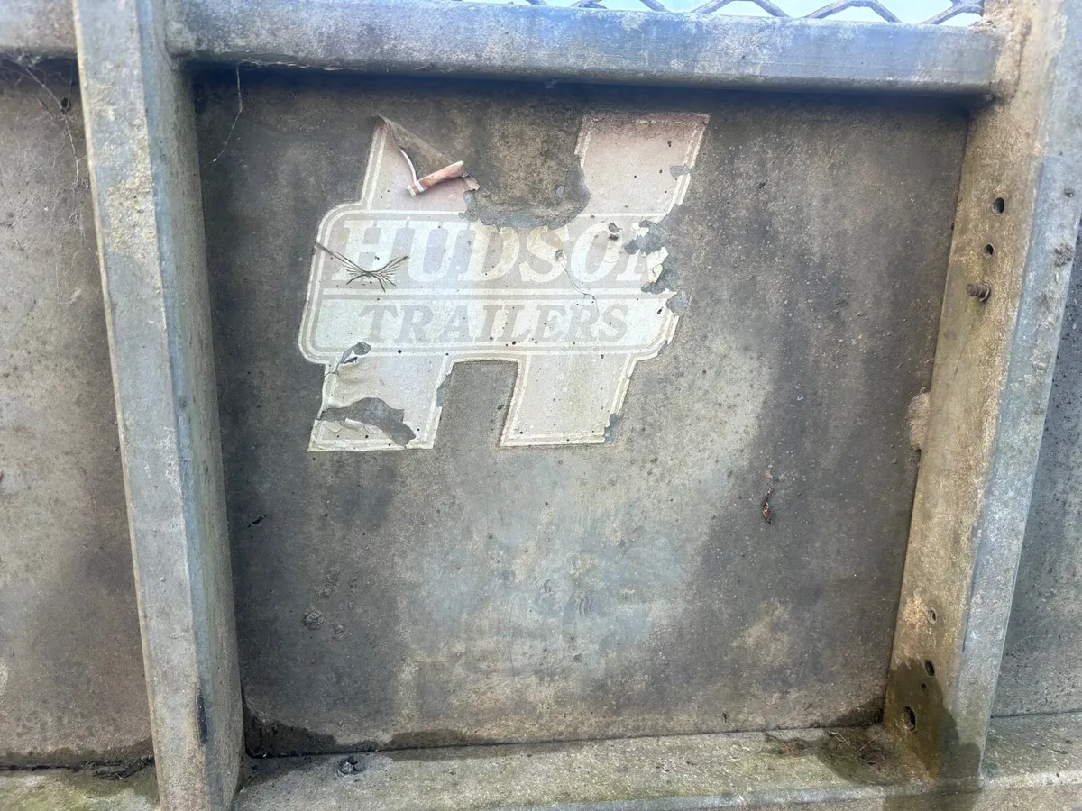 10 by 5 Hudson plant trailer - Image 2
