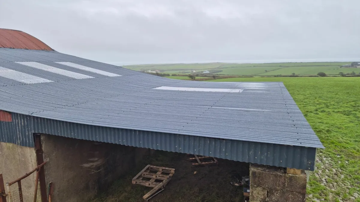 Munster Farm Shed Repairs - Image 2