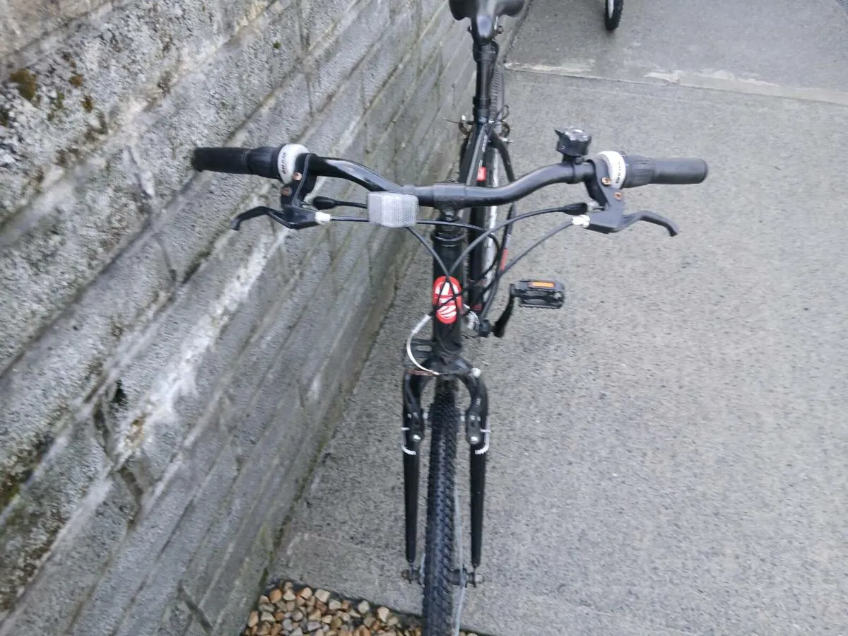 ADULTS BIKE - Image 2