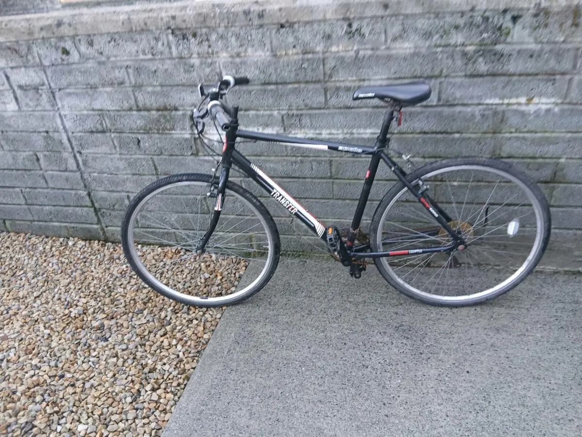 ADULTS BIKE - Image 1