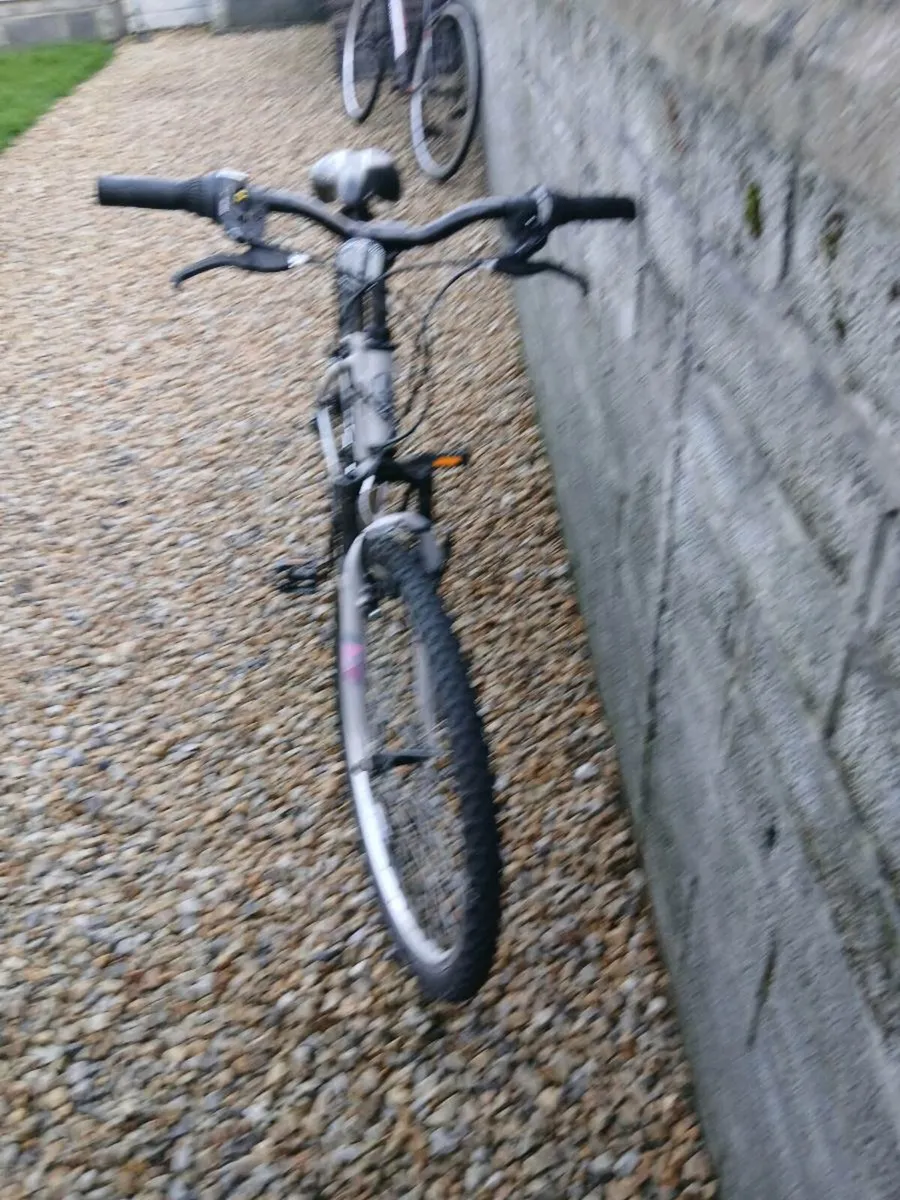 TEENEGER BIKE - Image 3