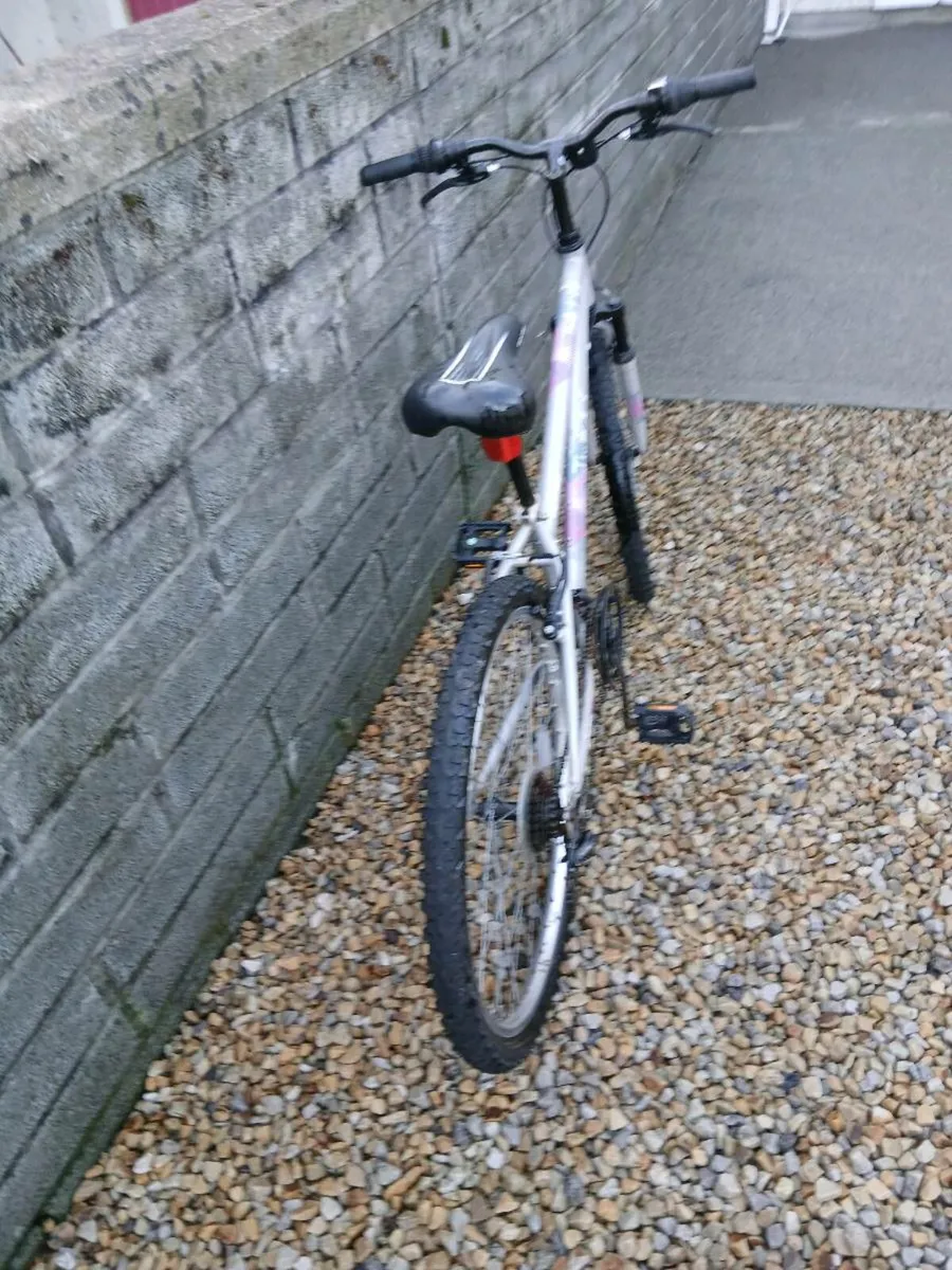 TEENEGER BIKE - Image 4