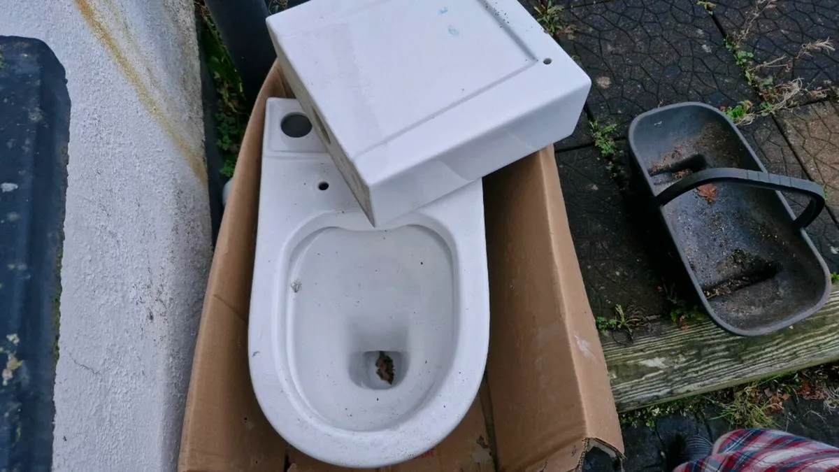 Toilet Complete - Image 2