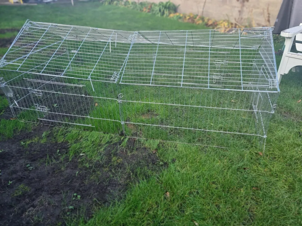 Rabbit and Guinea Pig pet cage - Image 2
