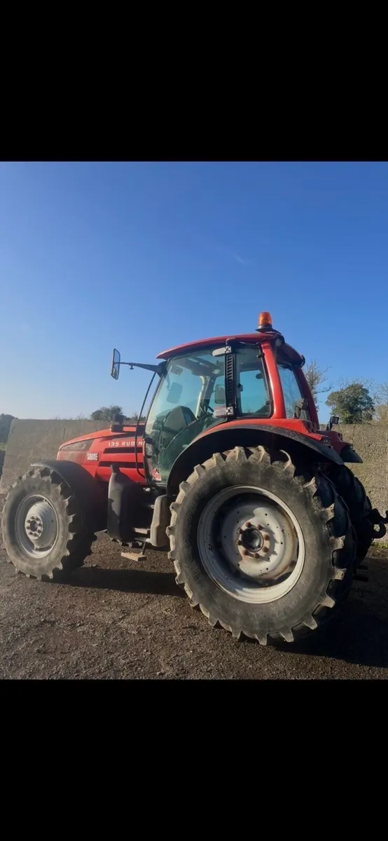 Same Rubin 135 - Image 2