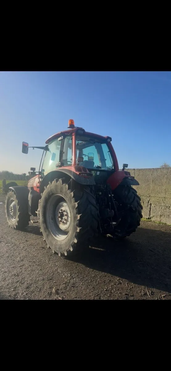 Same Rubin 135 - Image 3