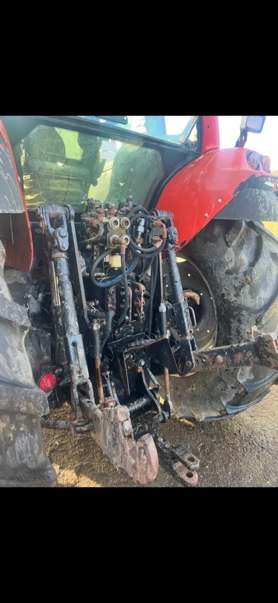 Same Rubin 135 - Image 4