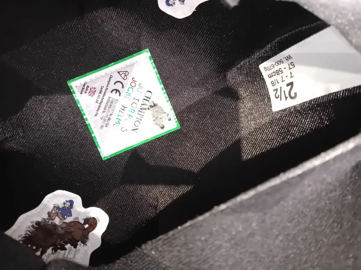 Horse Riding Helmet - Image 3