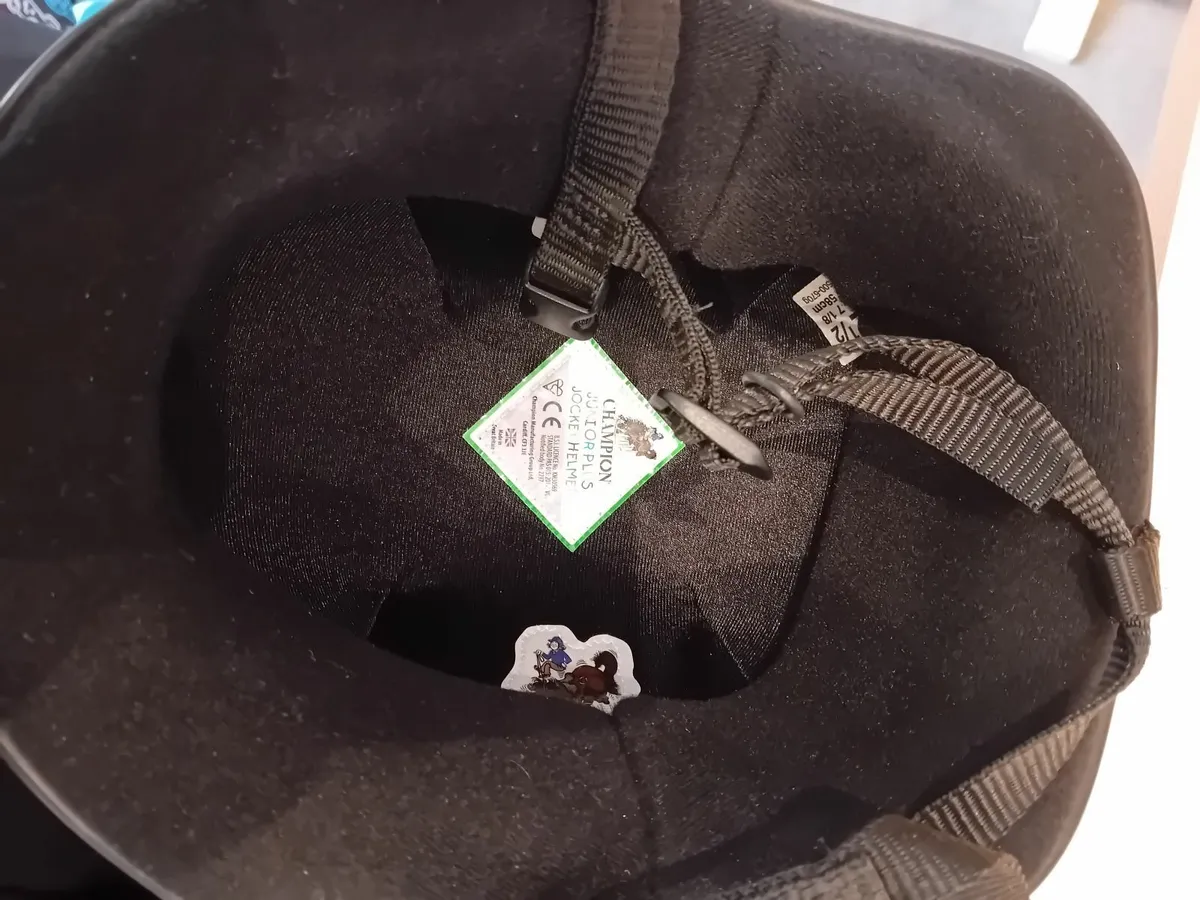 Horse Riding Helmet - Image 4