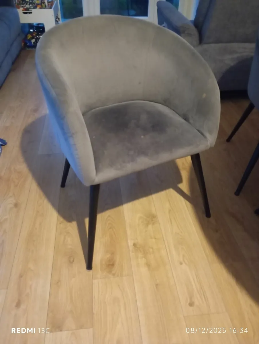 Dining chairs - Image 4