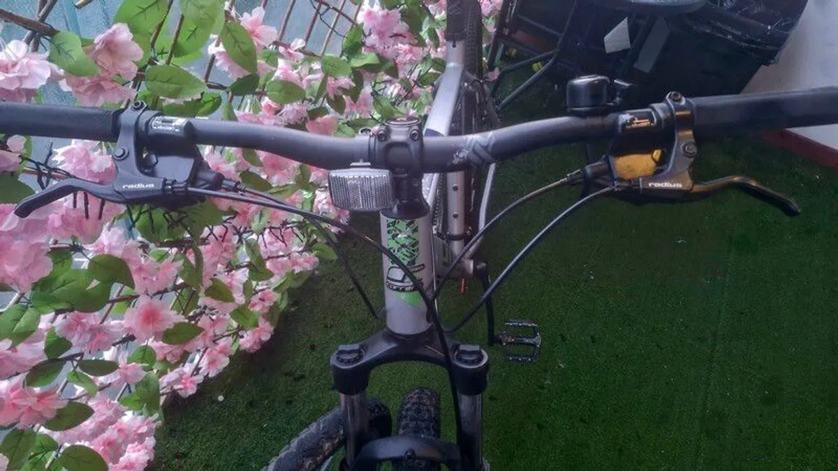 Carrera Valour Disk - Image 3