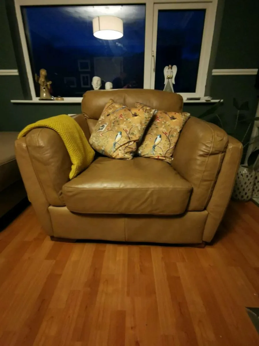 2 Arm chairs €250 for both €125 each - Image 1