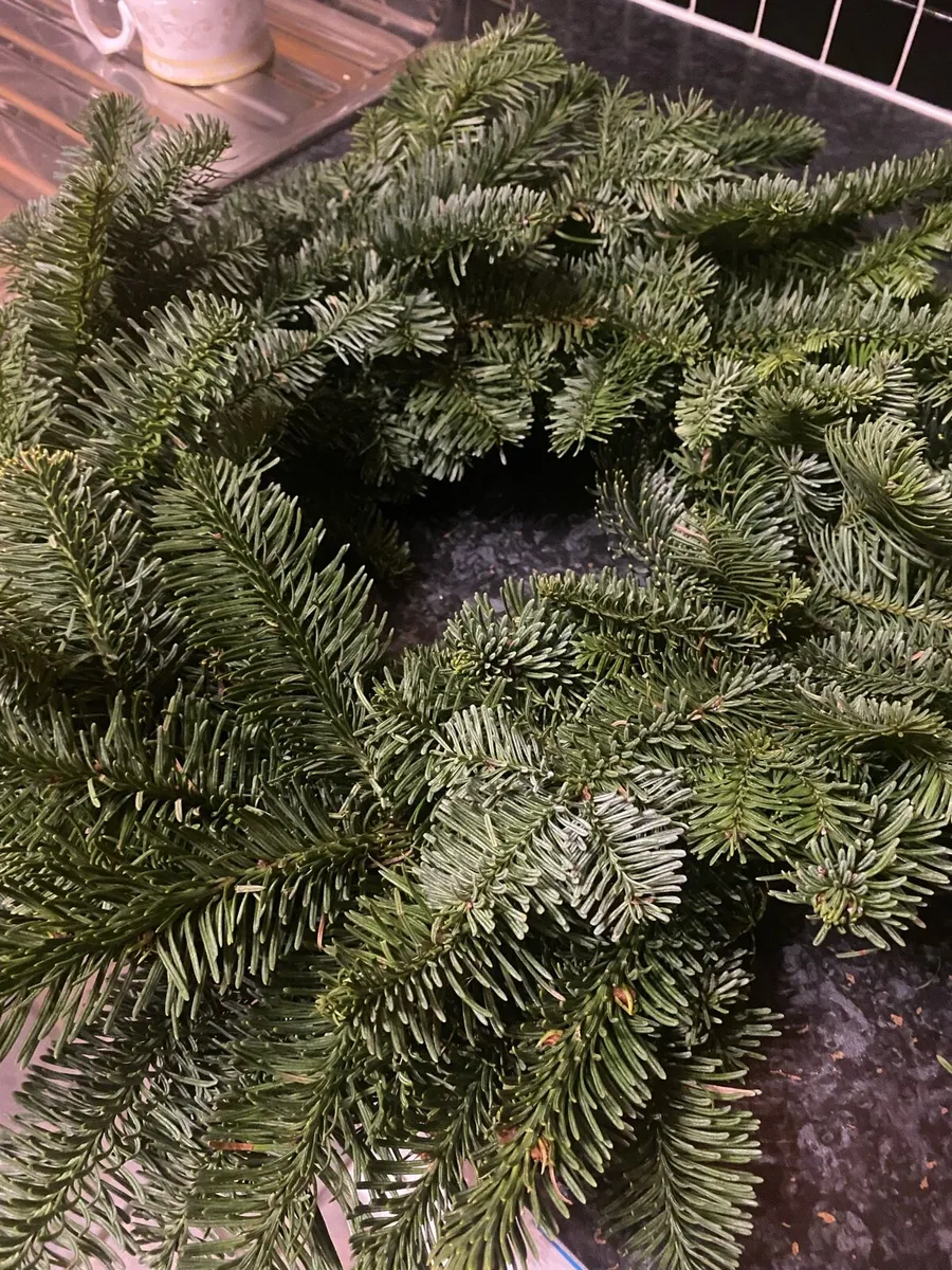 Christmas wreaths x30 or sold in smaller amounts - Image 1