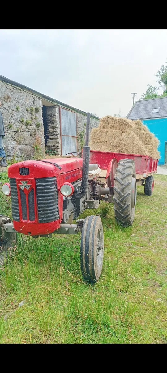 Massey Ferguson 65 mk2 - Image 1