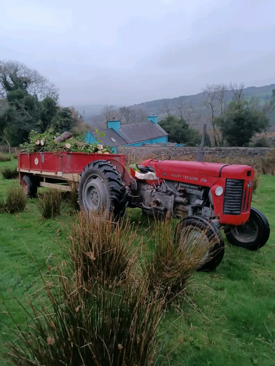Massey Ferguson 65 mk2 - Image 2