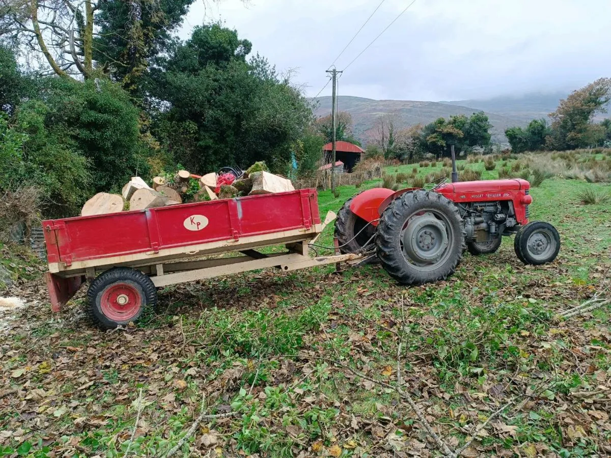 Massey Ferguson 65 mk2 - Image 3