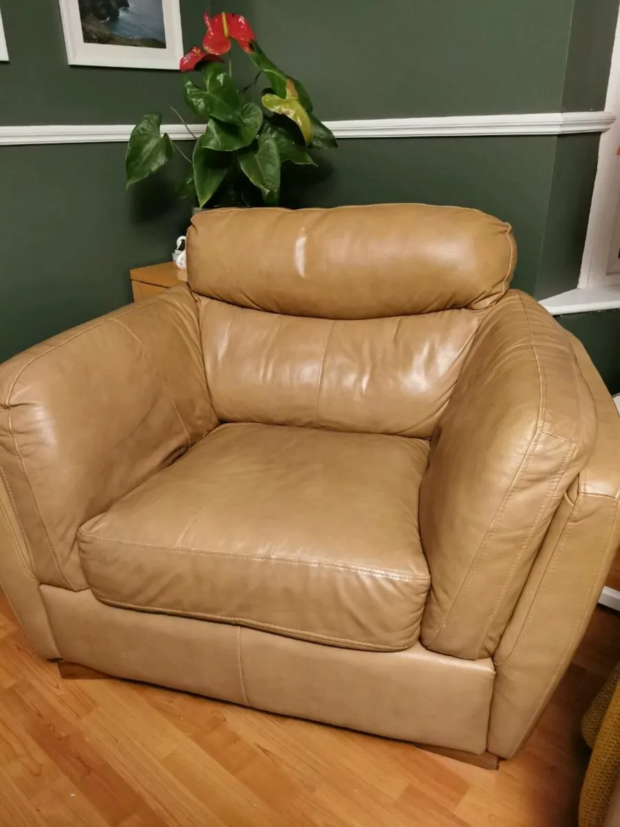 2 Arm chairs €250 for both €125 each - Image 2