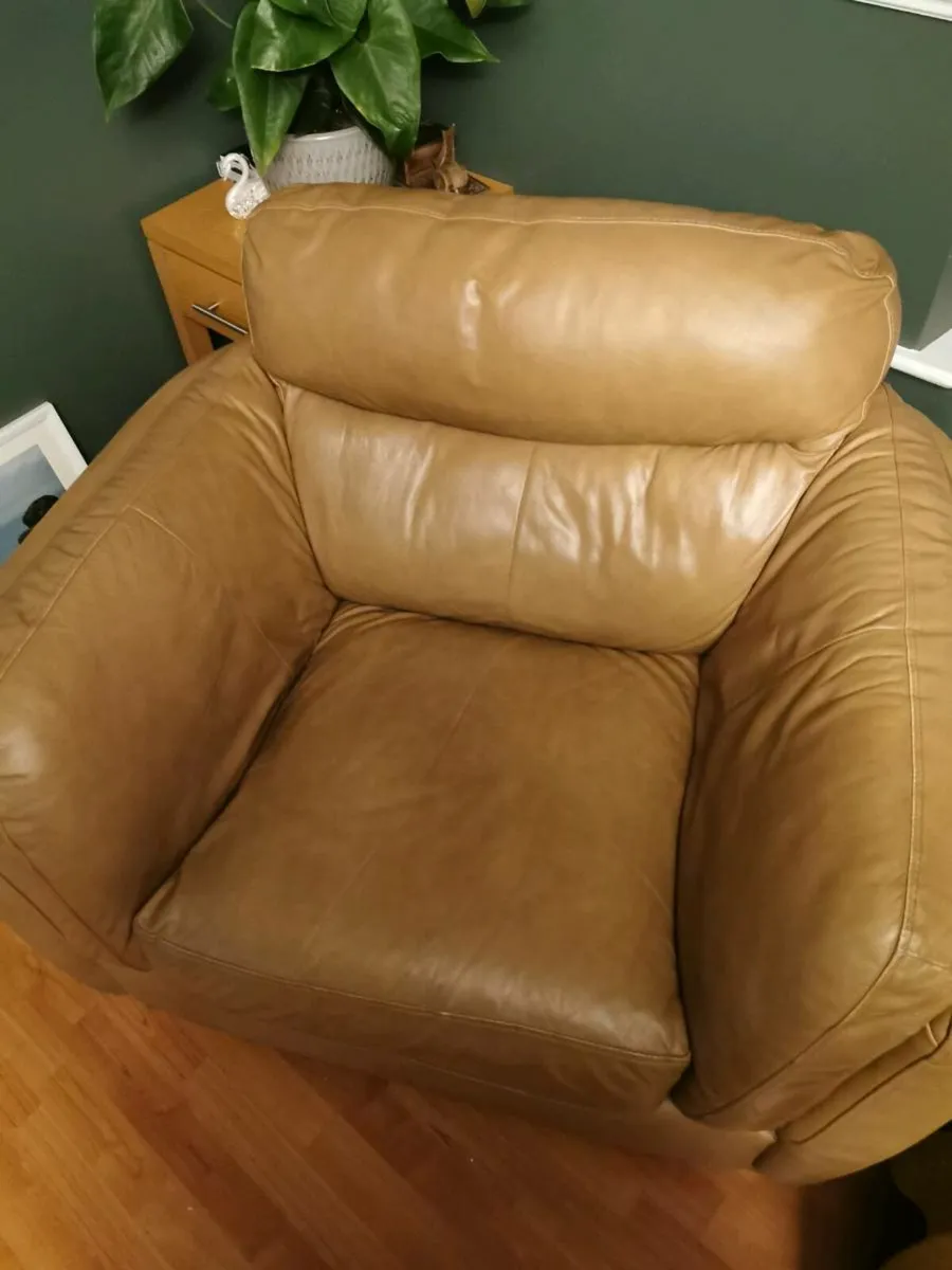 2 Arm chairs €250 for both €125 each - Image 3