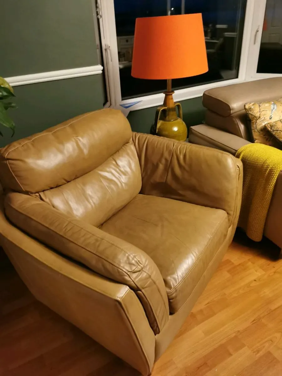 2 Arm chairs €250 for both €125 each - Image 4