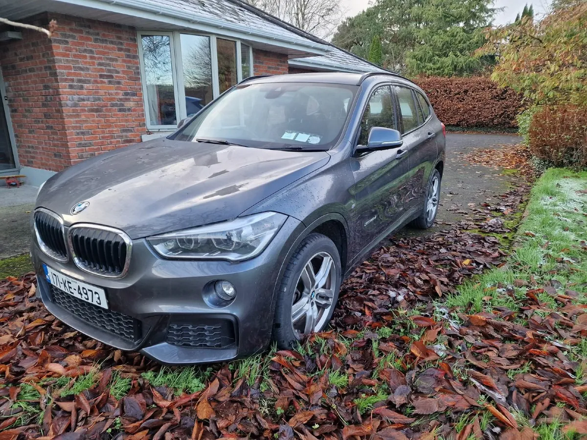 BMW X1 2017 xDrive20d mSport - Image 2