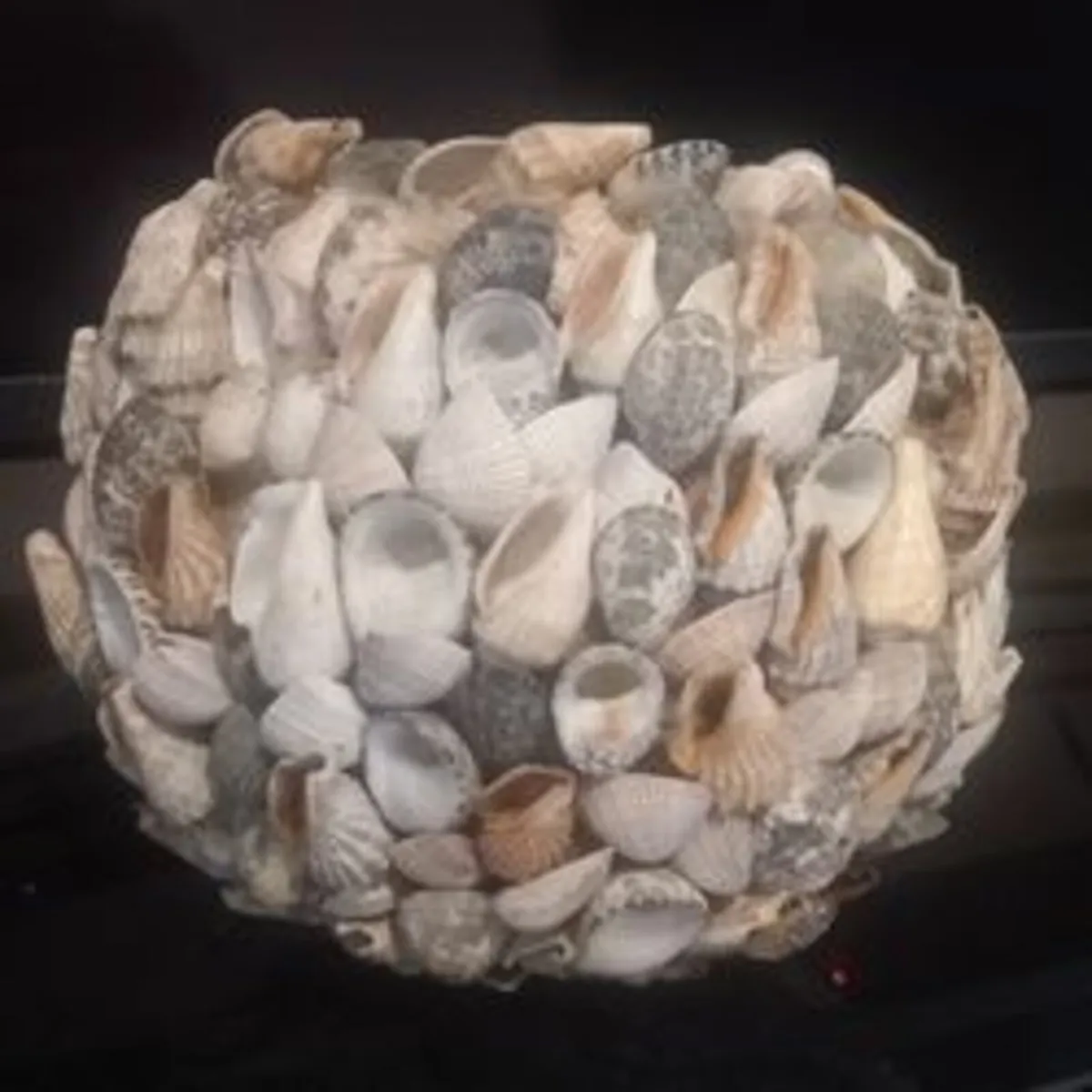 Lovely Hand crafted seashell plant pot - Image 2
