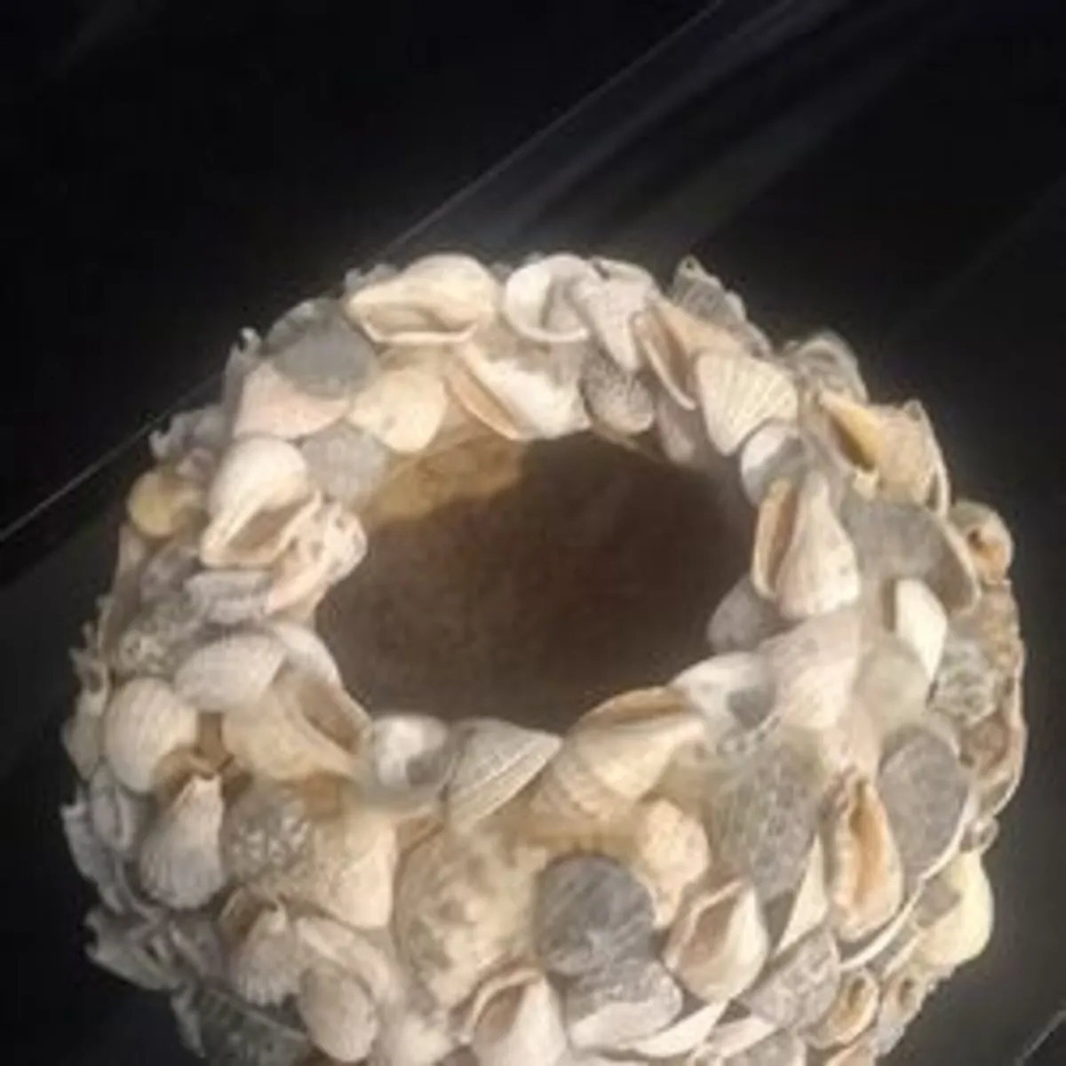 Lovely Hand crafted seashell plant pot - Image 3