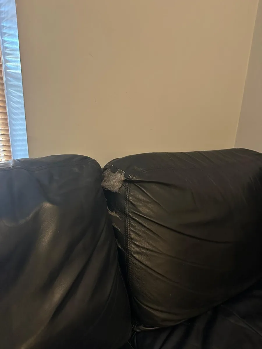 Couch/sofa - Image 4