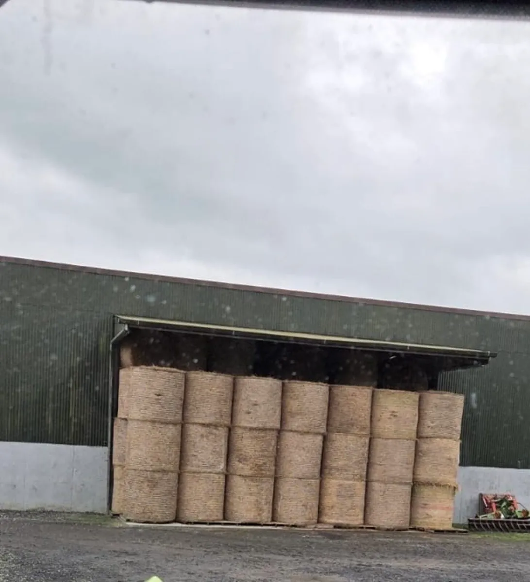 Horse Hay, Haylage & Silage