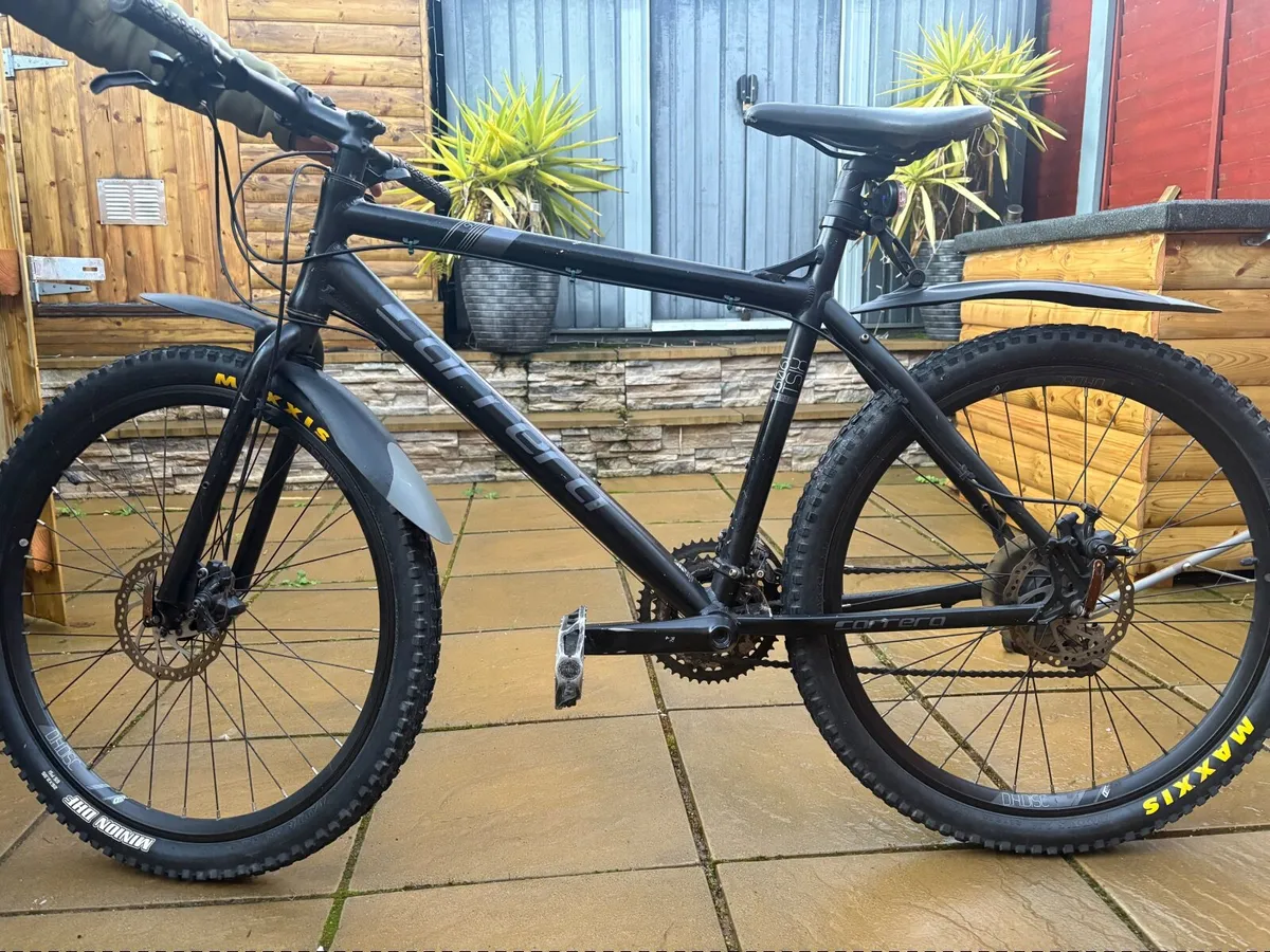 Carrera Bike - Image 2