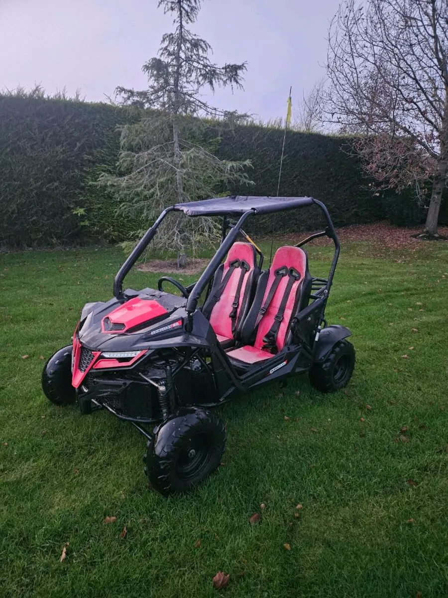 2022 Quadzilla stringray 210cc - Image 1