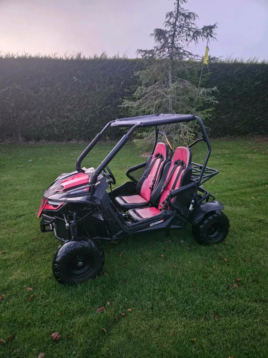 2022 Quadzilla stringray 210cc - Image 2