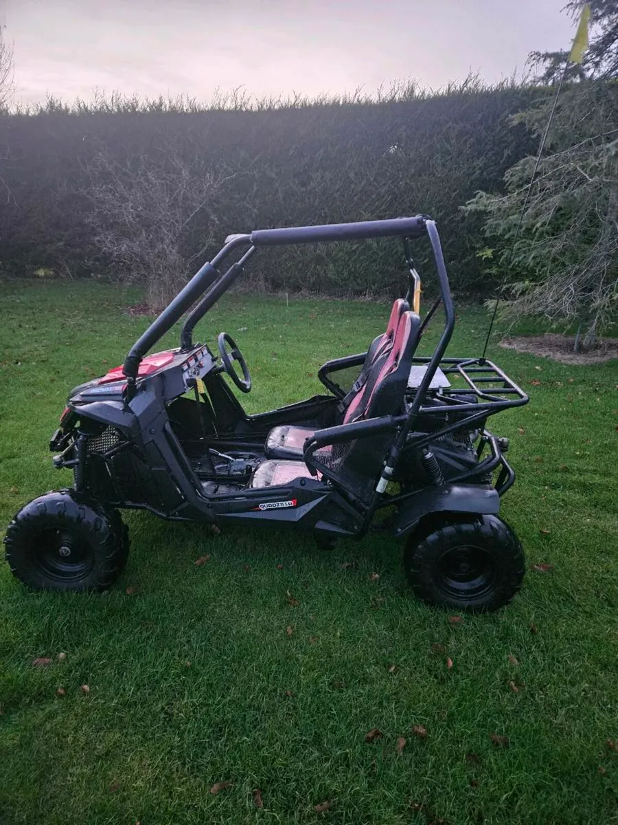 2022 Quadzilla stringray 210cc - Image 3