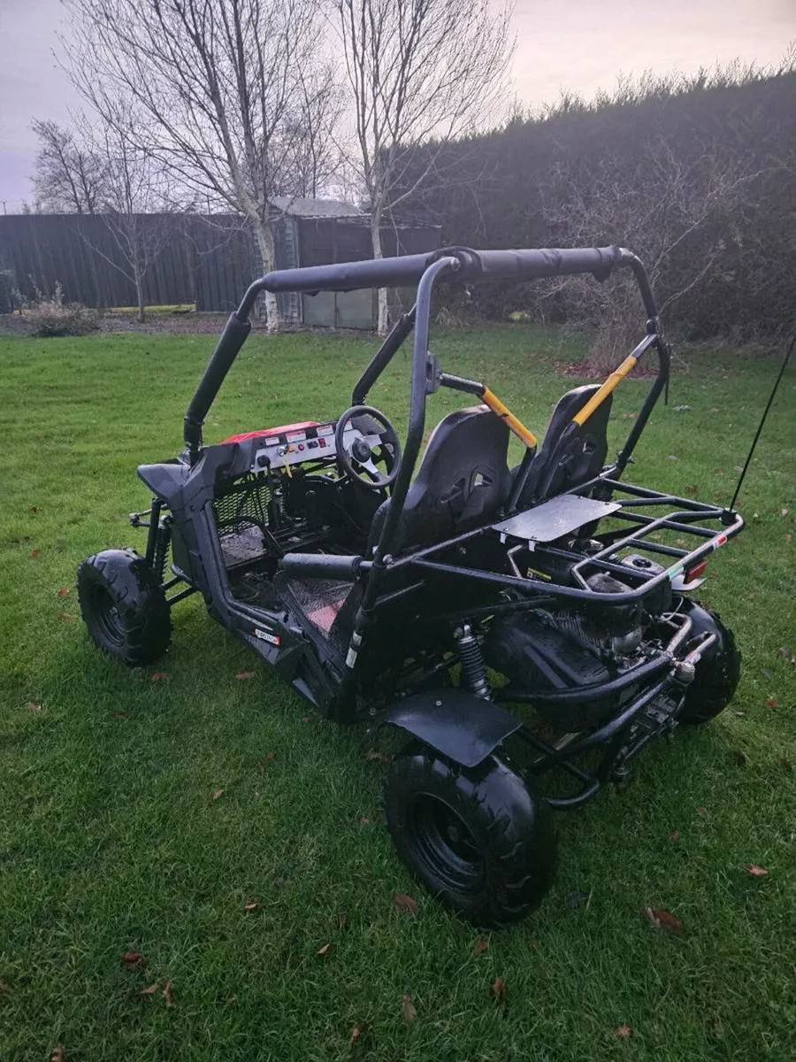 2022 Quadzilla stringray 210cc - Image 4